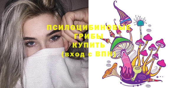 винт Армянск