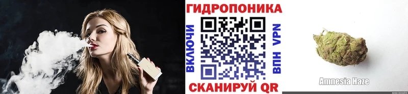mega tor Полевской Каннабис индика
